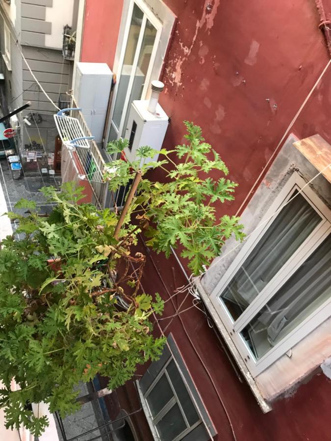 ホテル Cisterna'S House ナポリ エクステリア 写真